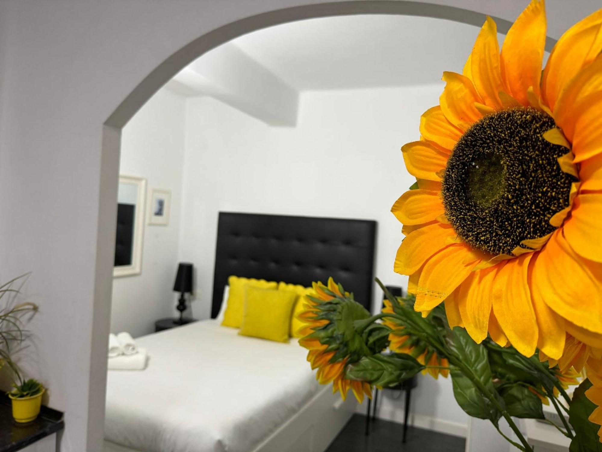 A 20 Pasos Del Museo Picasso Appartement